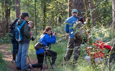 Nieuw aanbod op fort Sabina – workshops natuurfotografie