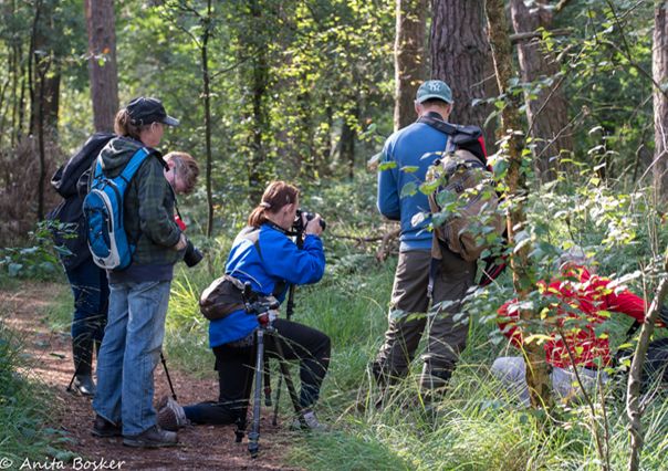 Nieuw aanbod op fort Sabina – workshops natuurfotografie